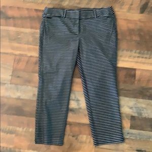 Loft Marissa Navy and White Striped Crop Pant, 12